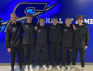 state swim